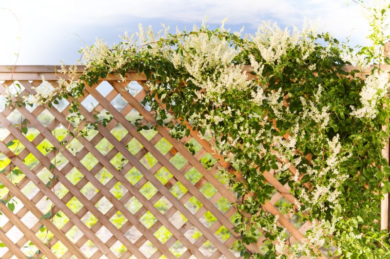 Lattice Trellis Installation Service